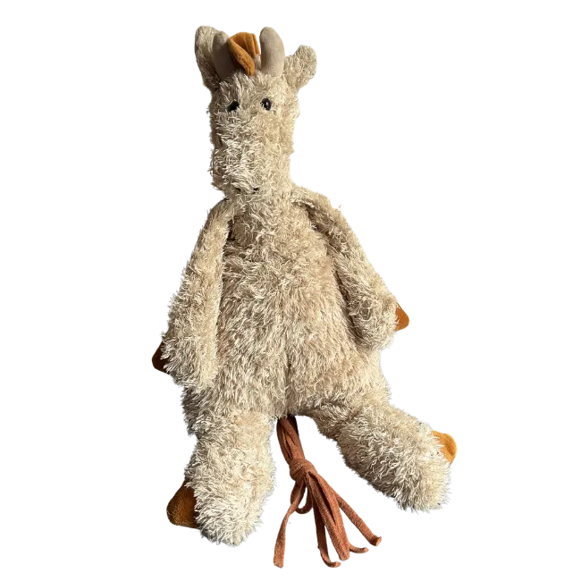 Junglie Giraffe