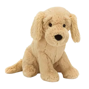 Tilly Golden Retriever
